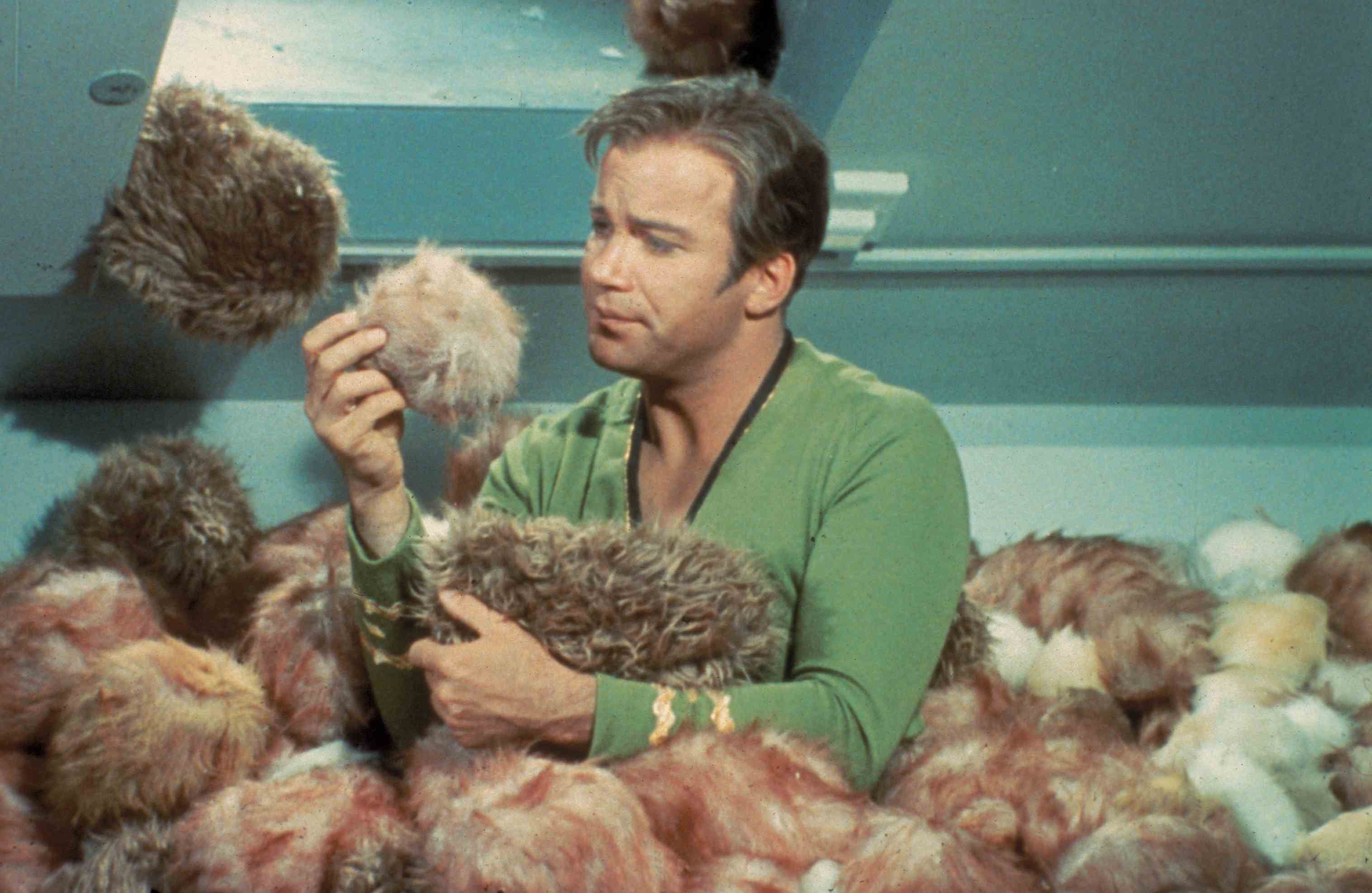 captain kirk with tribbles